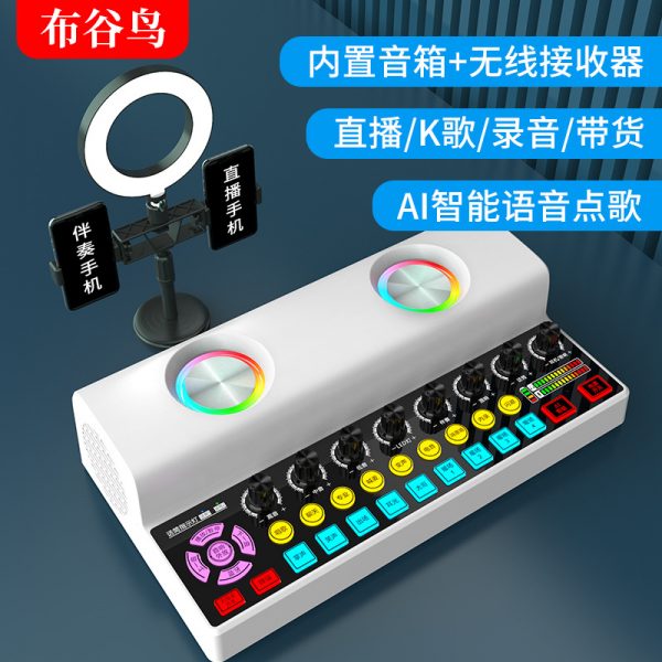 Y2 直播唱歌声卡音响一体机麦克风家庭K歌无线蓝牙音箱套装