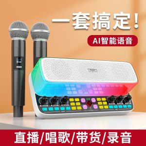 Y11声卡音响一体机室内户外广场舞直播唱歌K歌无线蓝牙音响
