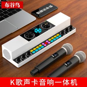 直播唱歌声卡音响一体机室内户外广场舞K歌无线蓝牙音箱