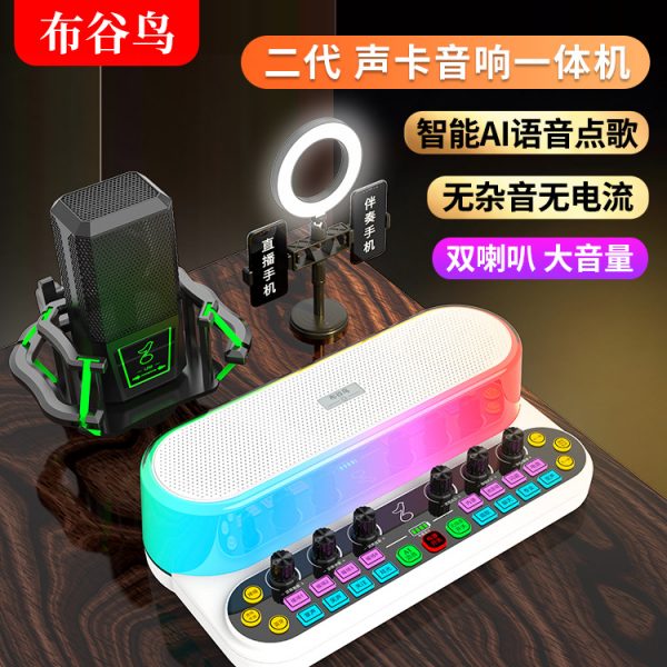 Y10带灯款布谷鸟声卡音响一体机网红专业直播唱歌K歌无线蓝牙音响