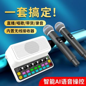 Y3声卡音响一体机直播唱歌家庭KTV广场舞K歌无线蓝牙音箱