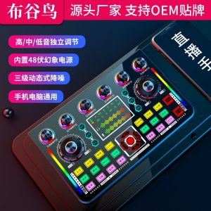 V6 主播带货手机电脑唱歌48V直播声卡套装